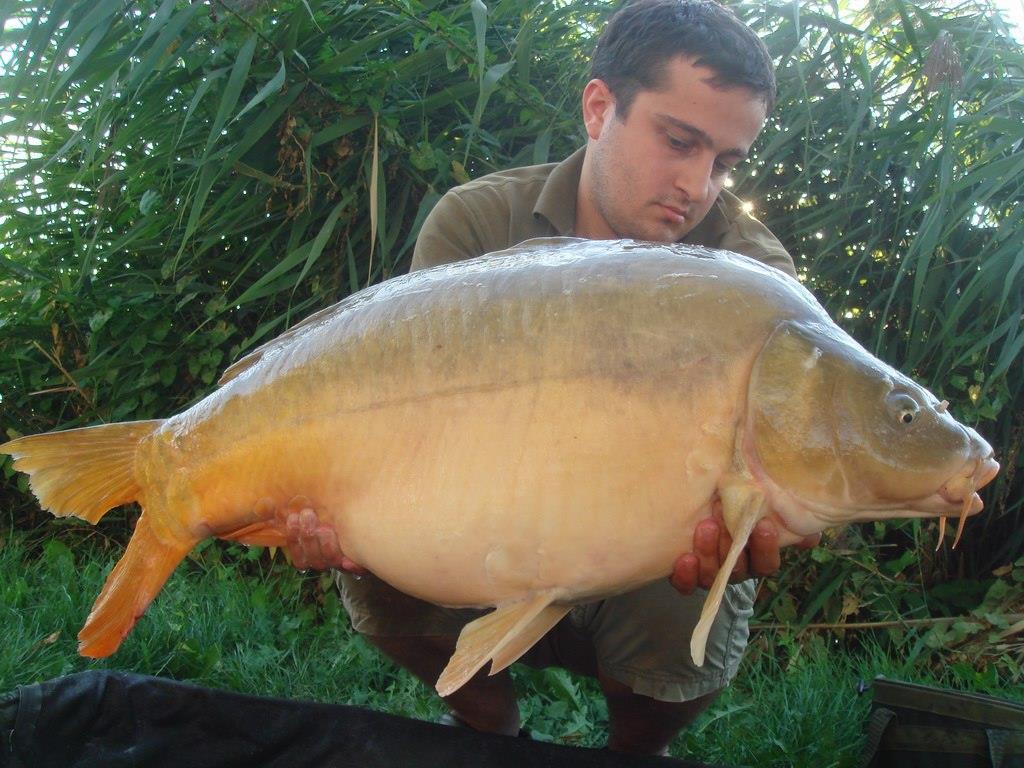 Nagykallo 2012 - 14.jpg